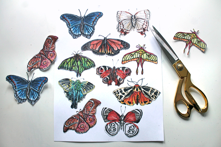 Free butterfly printable
